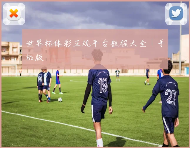世界杯体彩正规平台教程大全｜手机版