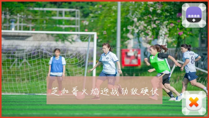 芝加哥火焰迎战劲敌硬仗