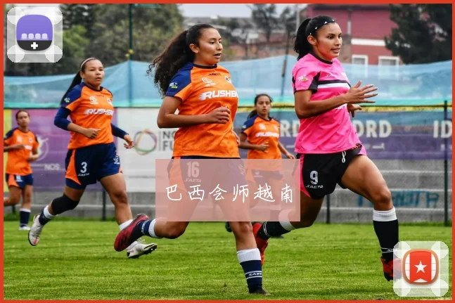 巴西会师越南