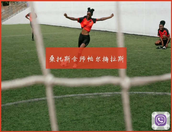 桑托斯会师帕尔梅拉斯