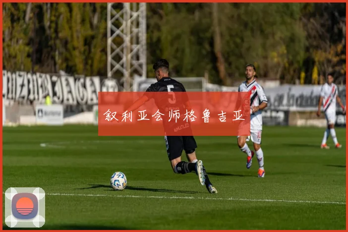 叙利亚会师格鲁吉亚