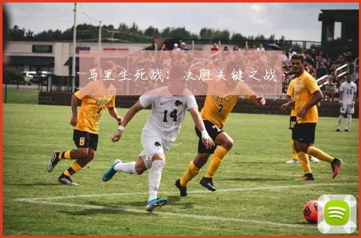 马里生死战：决胜关键之战