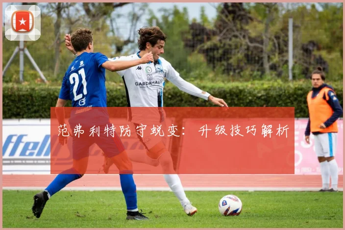 范弗利特防守蜕变：升级技巧解析