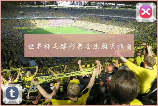世界杯足球彩票合法购买指南