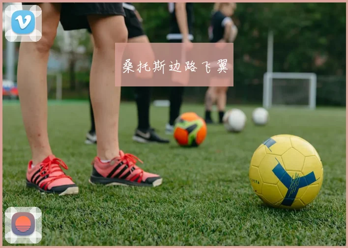桑托斯边路飞翼