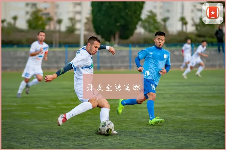 丹麦全场高燃