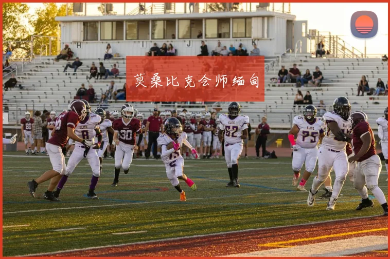 莫桑比克会师缅甸