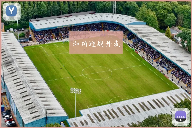 加纳迎战丹麦
