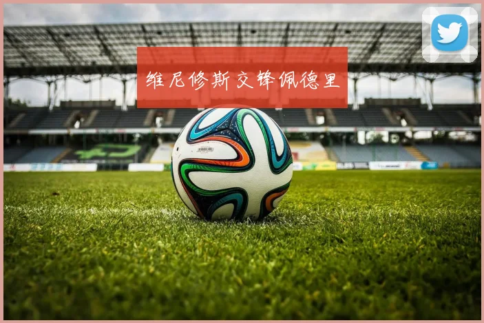 维尼修斯交锋佩德里