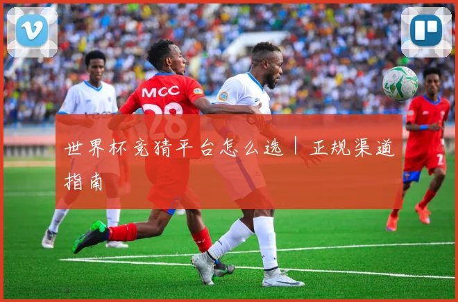 世界杯竞猜平台怎么选｜正规渠道指南