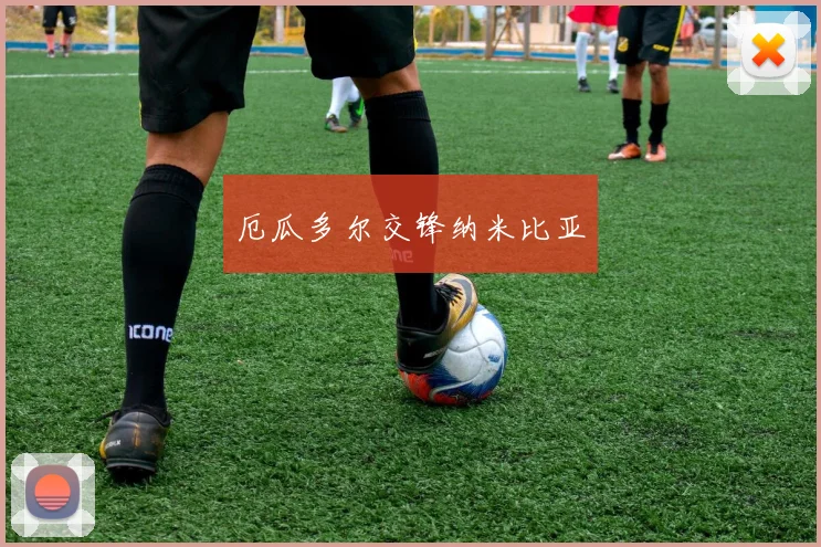 厄瓜多尔交锋纳米比亚