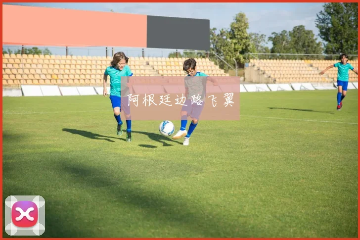 阿根廷边路飞翼