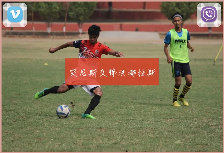 突尼斯交锋洪都拉斯