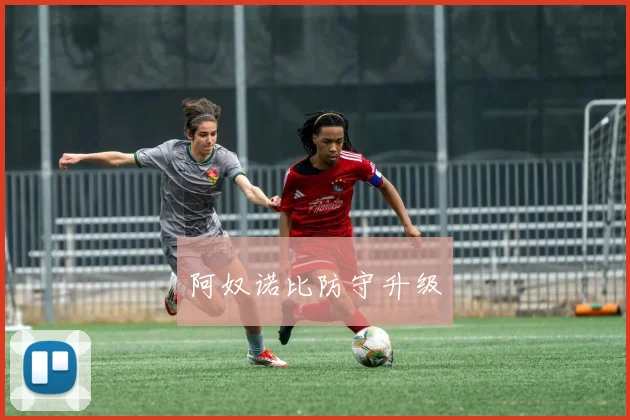 阿奴诺比防守升级