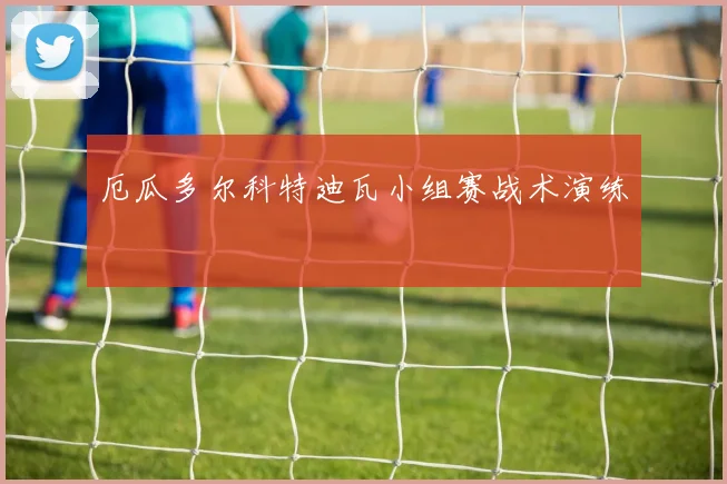 厄瓜多尔科特迪瓦小组赛战术演练