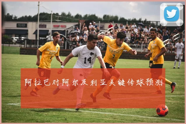 阿拉巴对阿尔及利亚关键传球预测