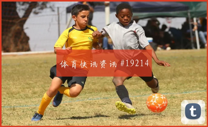 2026世界杯波黑卡塔尔赛前阵容分析