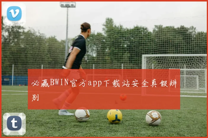 必赢BWIN官方app下载站安全真假辨别